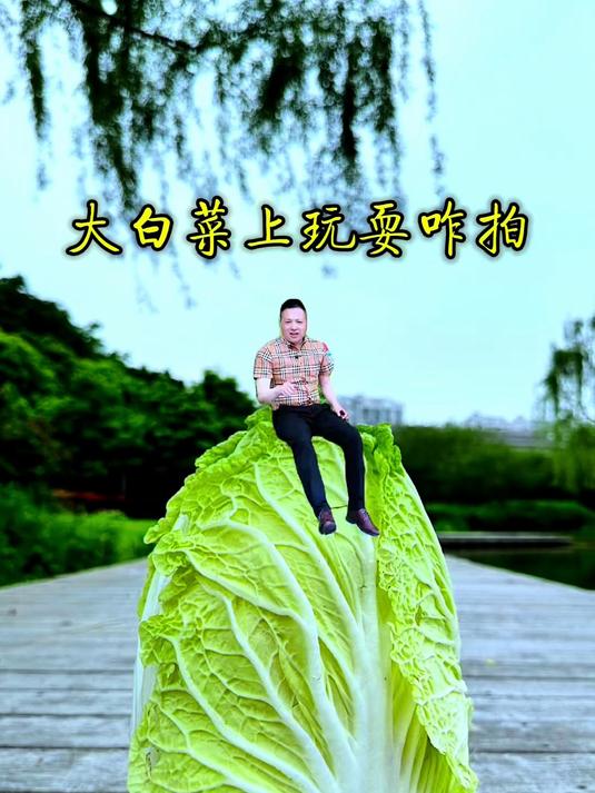 大白菜上玩耍咋拍的,看这个就会了!