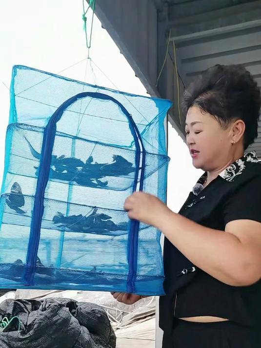 晾晒干鱼、豆角、咸菜、衣服都可以,还不招苍蝇