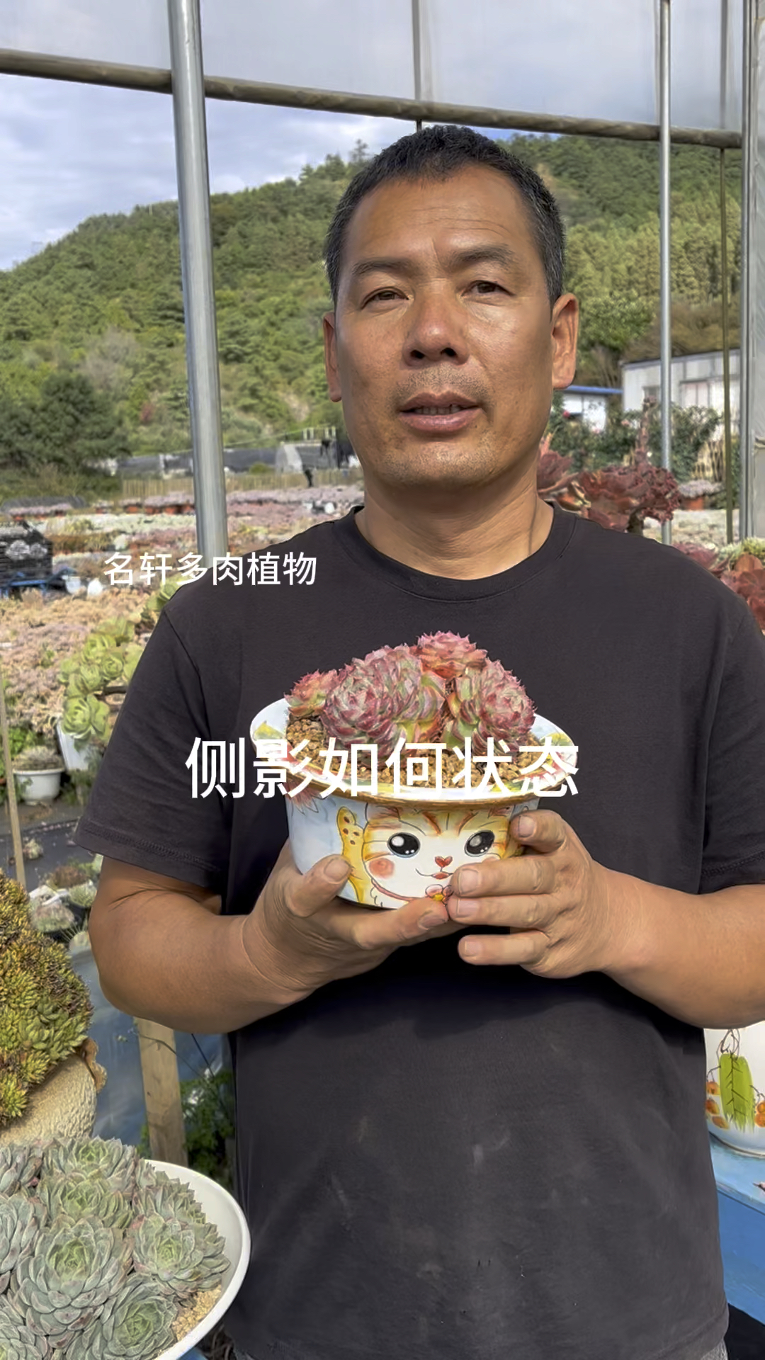 多肉植物侧影如何状态