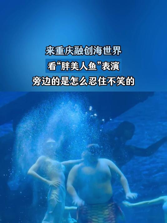 来重庆融创海世界,看“胖美人鱼”表演,旁边的是怎么忍住不笑的