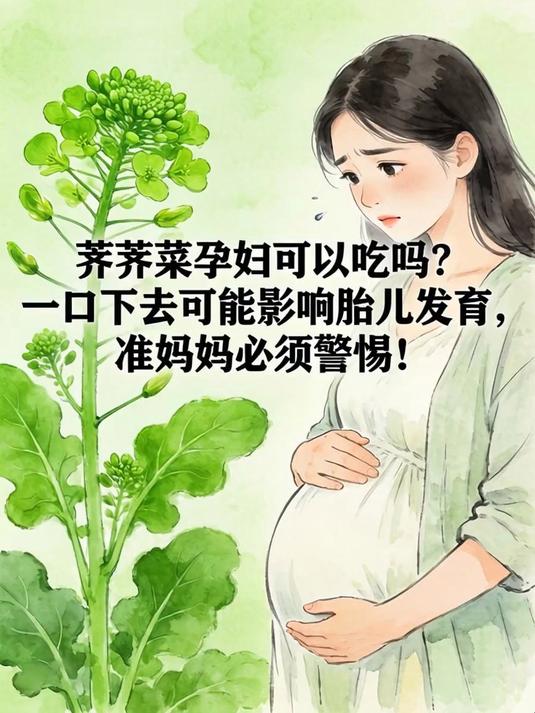 荠荠菜孕妇可以吃吗？一口下去可能影响胎儿发育，准妈妈必须警惕！