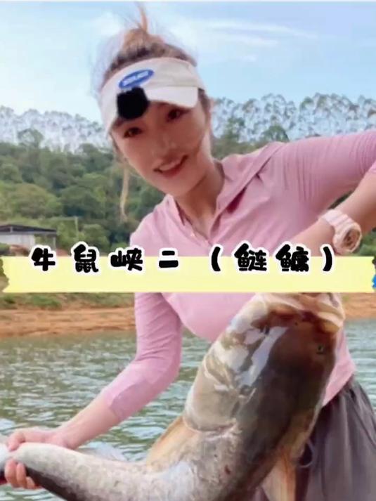 来了来了,大头黑皖一起来