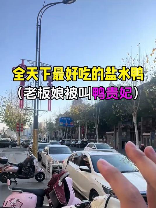 全天下最好吃的盐水鸭(老板娘叫鸭贵妃)