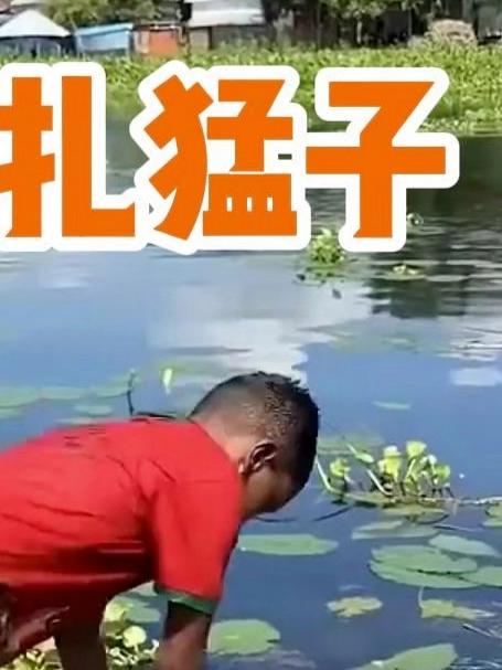 小孩哥扎水摸鱼钓鱼不停，执着战胜失败，小鱼见证坚持力量