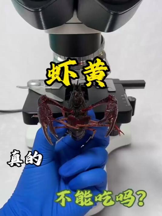 虾黄真的不能多吃吗?