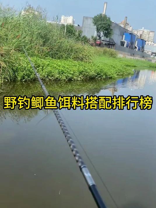 十种鲫鱼最爱饵料搭配！第三种能让鱼疯狂咬钩，新手必看