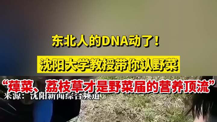 东北人的DNA动了!沈阳大学教授带你认野菜