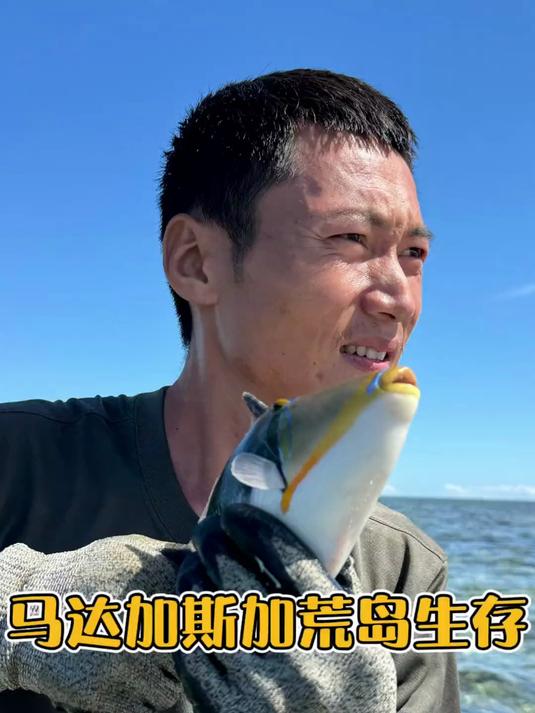 升级鱼枪，前往更深的海域，探索海底，凌晨赶海退大潮，收获颇丰