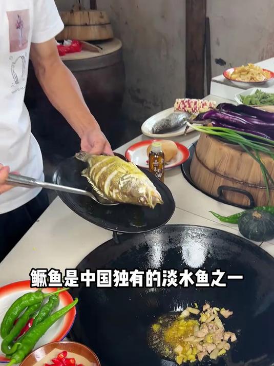 鳜鱼是中国独有的淡水鱼之一,臭鳜鱼闻着臭吃着香