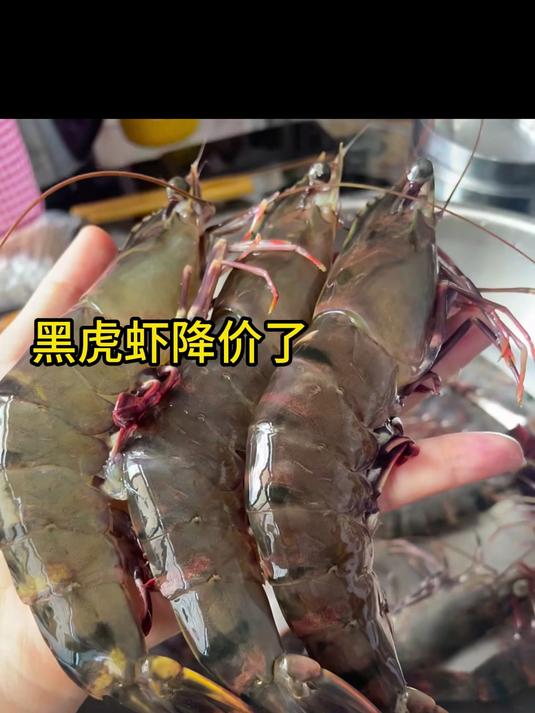 这黑虎虾煮完红亮亮!看着就超有食欲