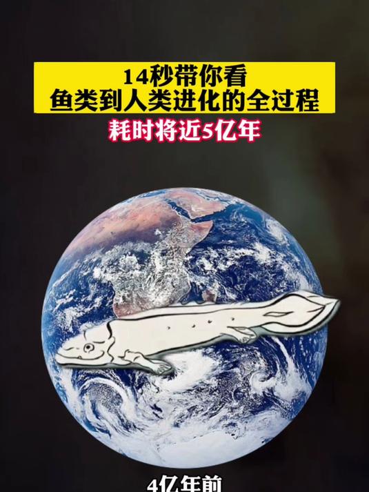 14秒带你看鱼类到人类进化的全过程，耗时将近5亿年！