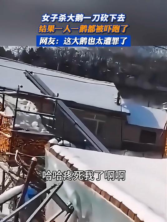 女子杀大鹅一刀砍下去,结果一人一鹅都被吓跑了