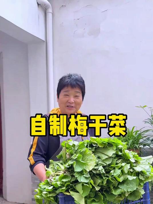 地道农家梅干菜 咸香入味 蒸肉烧汤都好吃