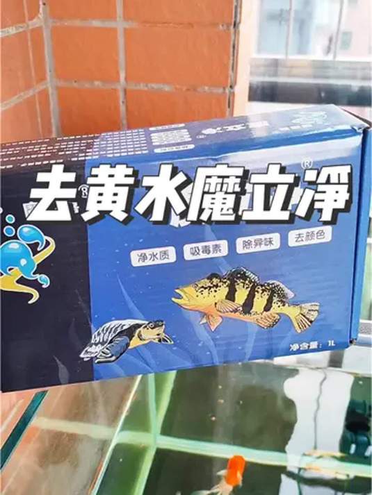 鱼缸水黄有腥咋解决?放魔立净过滤,一晚变清透!