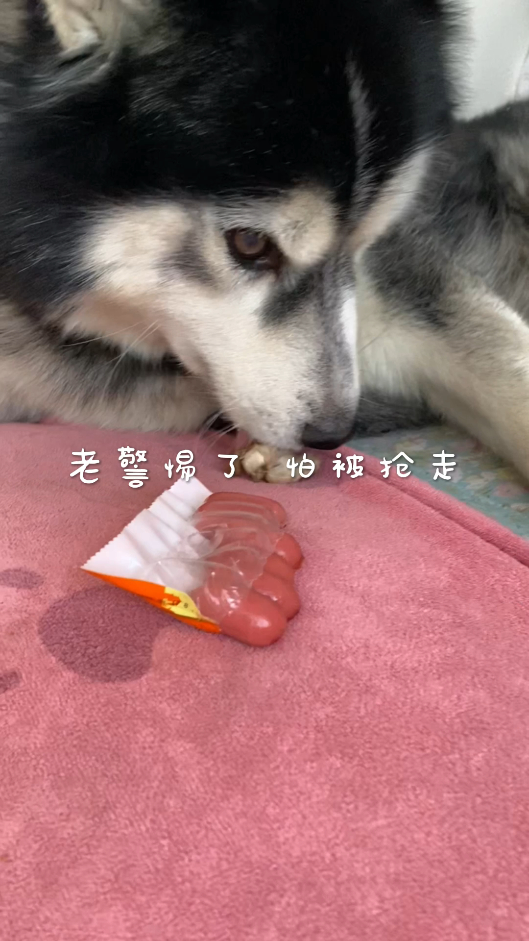 晚餐很丰富 心情爽歪歪