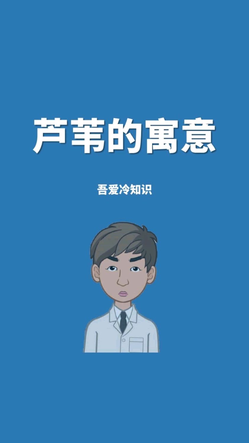 芦苇的寓意和象征意义
