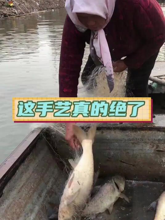 农村老妈又馋鱼了,去下粘网,回来做了胖头鱼头豆腐汤,真是绝了