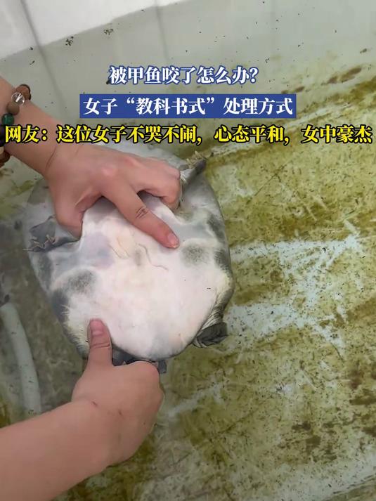 被甲鱼咬了怎么办?女子“教科书式”处理方式