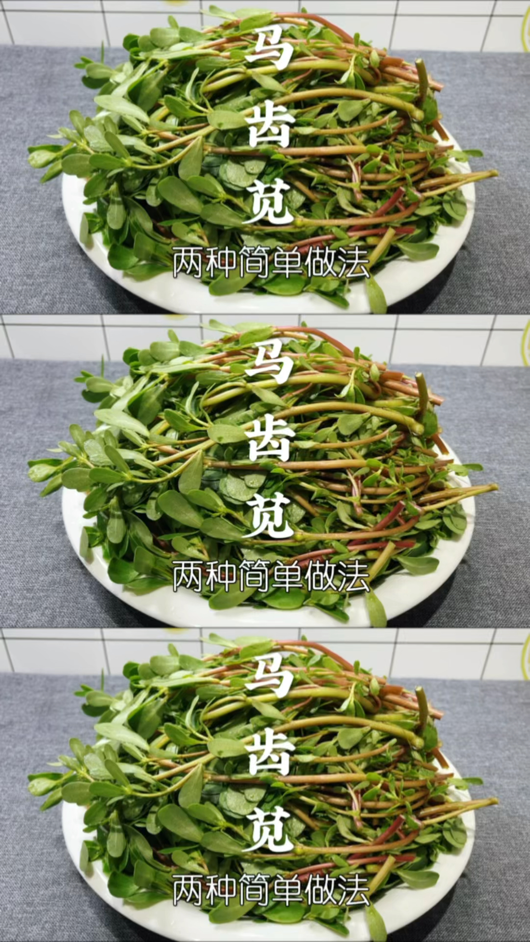 这才是马齿苋最好吃做法,补铁补钙营养美味,几毛钱做一大盘