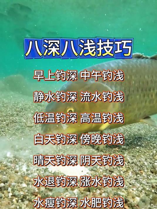 钓鱼技巧之八深八浅口诀 钓鱼技巧