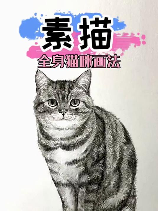 素描小猫咪完整教学 素描 一起学画画 素描动物