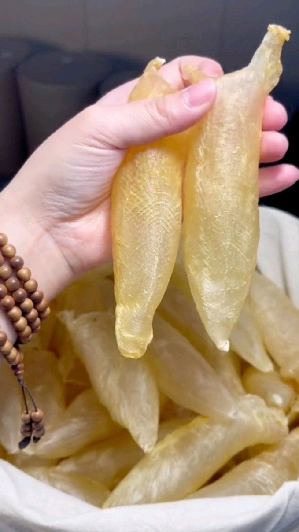 第23集:越南蜘蛛母胶