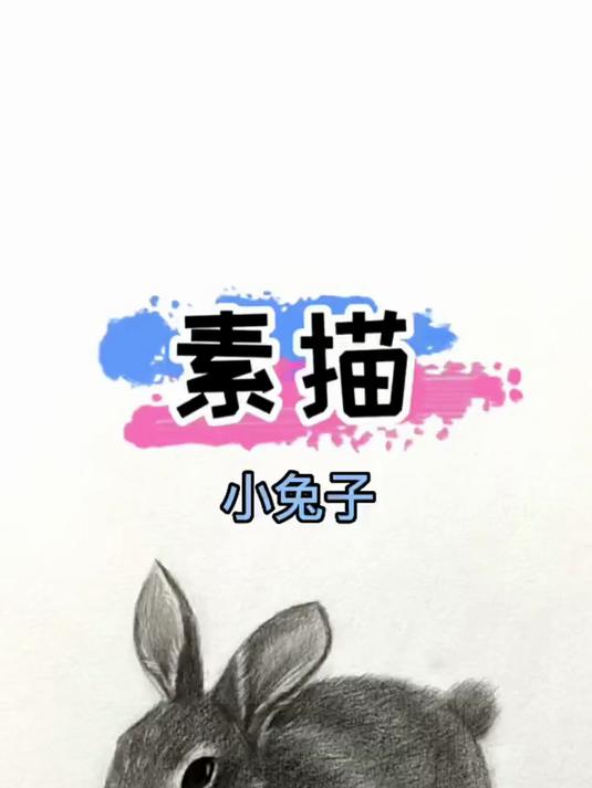 素描兔子的详细教程来啦!兔子 零基础学画画 兔子画法