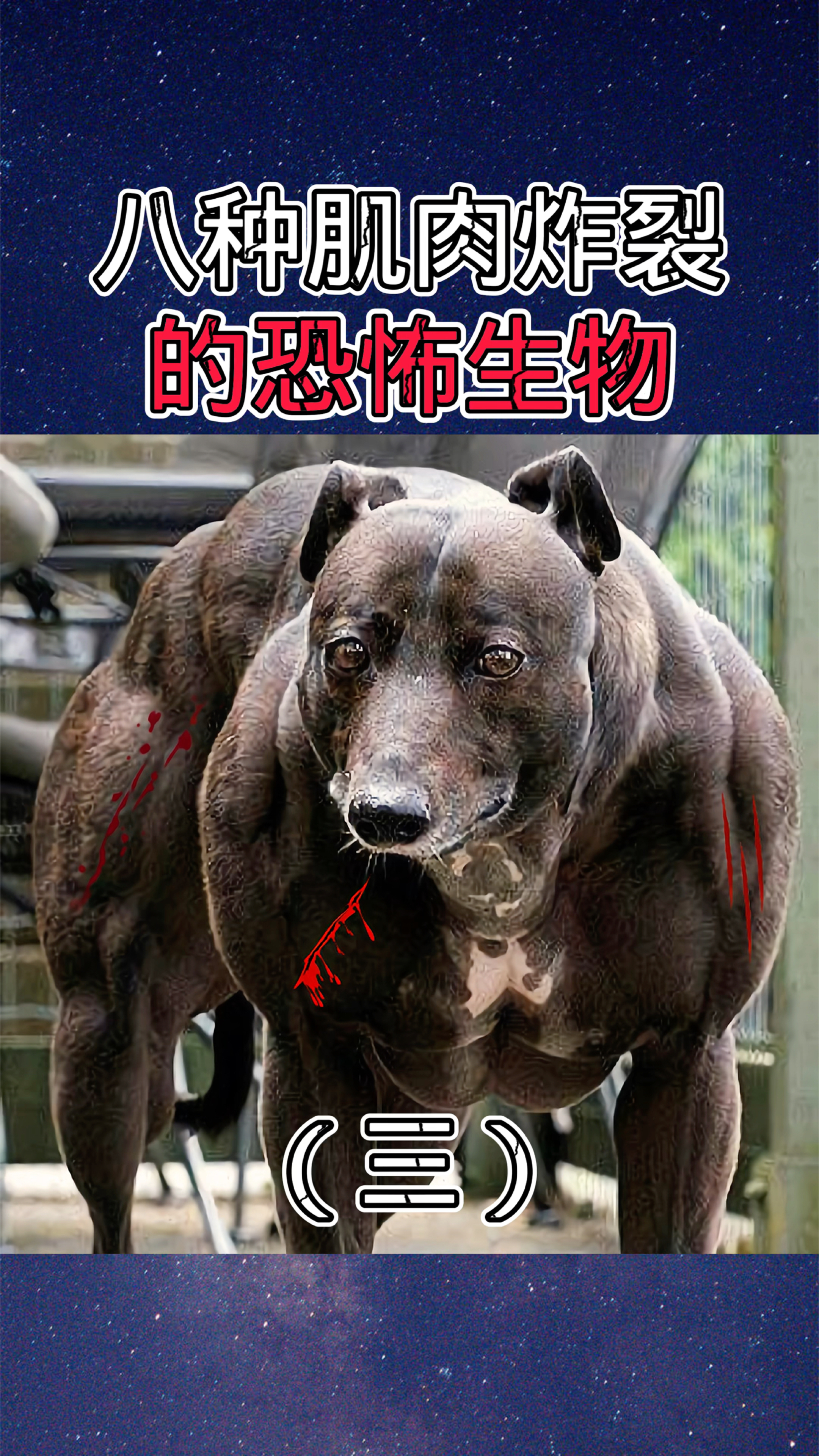 八种肌肉炸裂的恐怖生物(三)