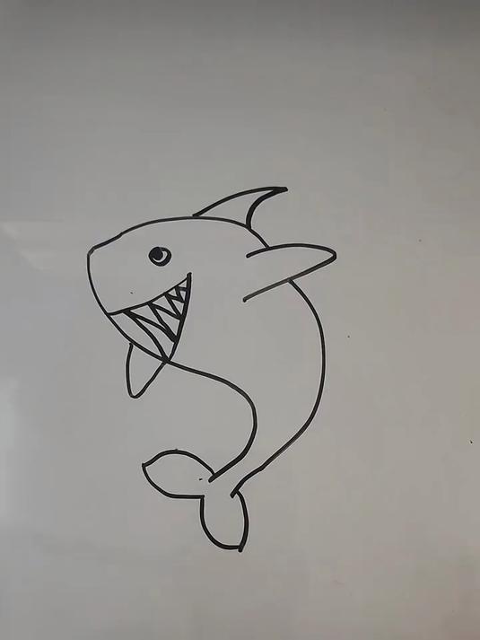 简笔画——大鲨鱼#画画