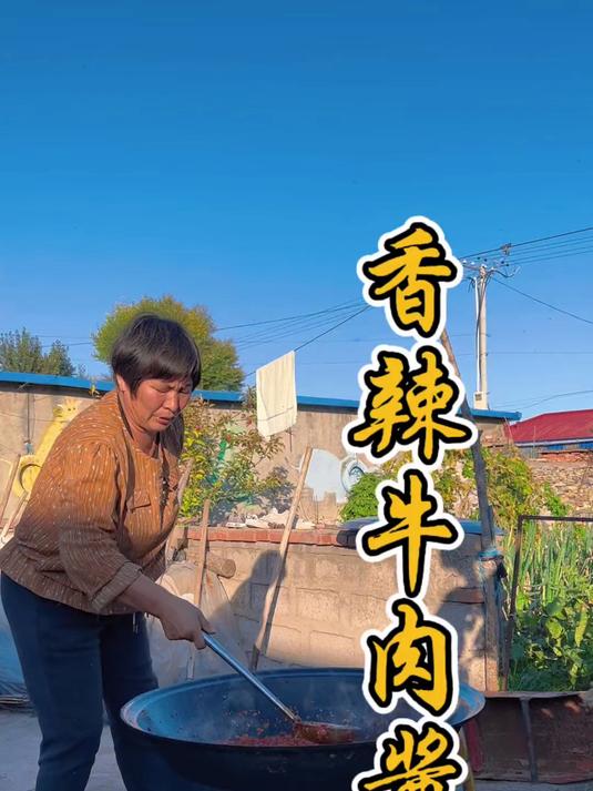 香辣牛肉酱 妈妈做的香辣牛肉酱,拌上面条别提多香了