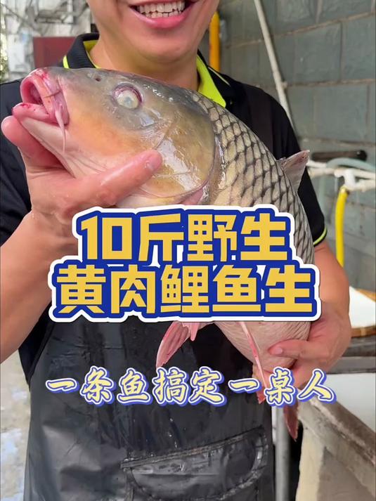 一条10斤重的野生黄肉鲤鱼,做出了8碟鱼生,肉质粉红粉红的