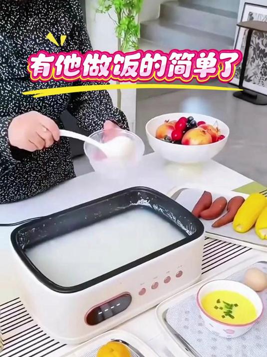 志高早餐电蒸锅 小型双层 宿舍家用快速蒸蛋热菜