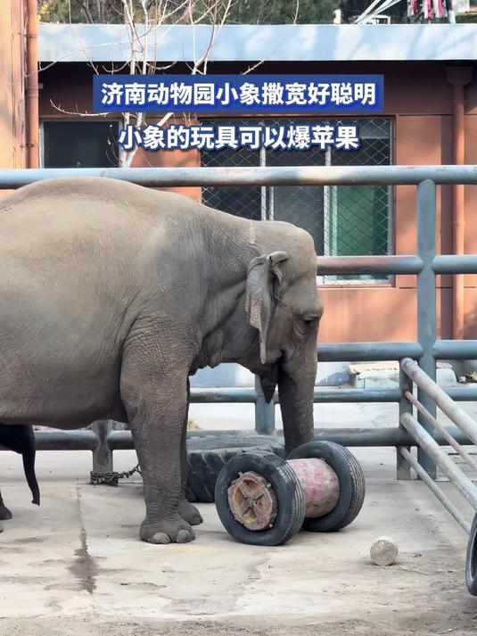 浙江台州科技馆志愿者名单再现百度人名大全,多人批量上榜
