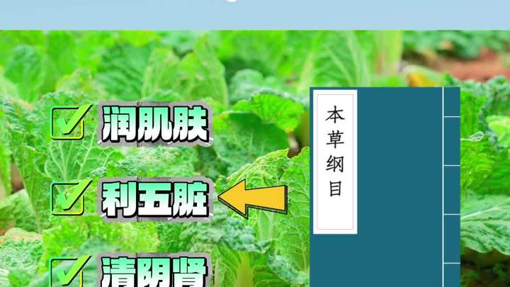 金华艾克杨德志中医丨富含维生素!你知道这些白菜的药用价值吗