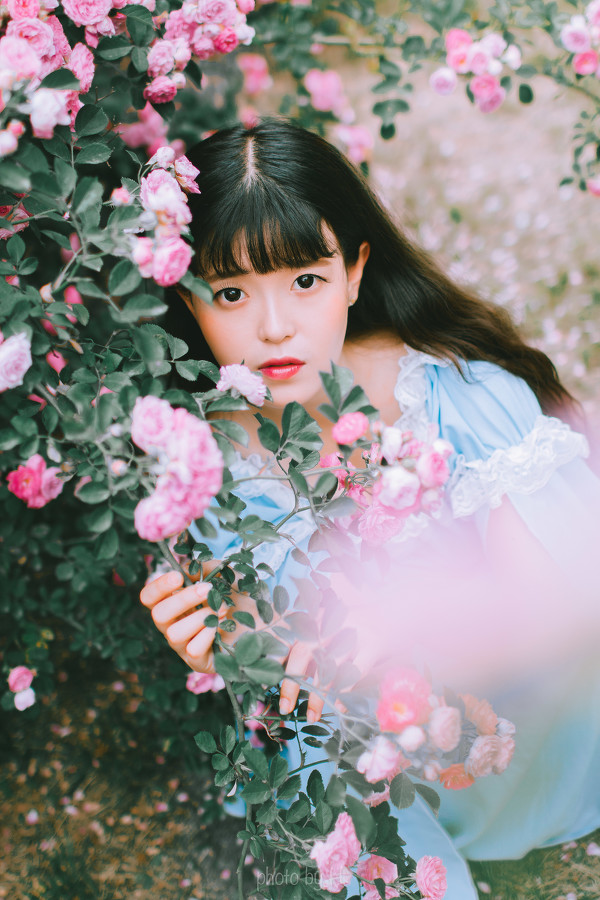 图片[10]-少女和蔷薇-六色网