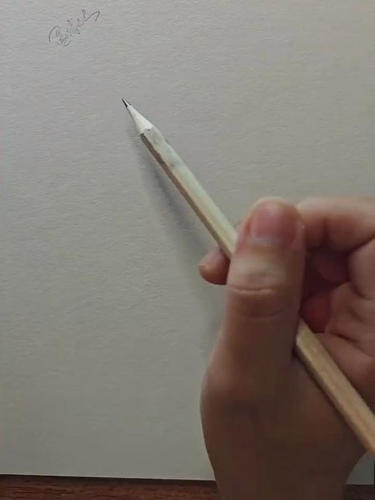 画前甩一甩 教大家画个花城