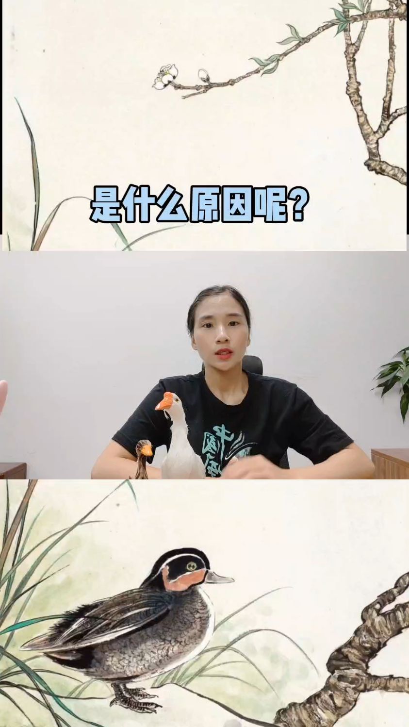 鸭子腿瘸,腿软,拉黄白痢是什么原因呢?