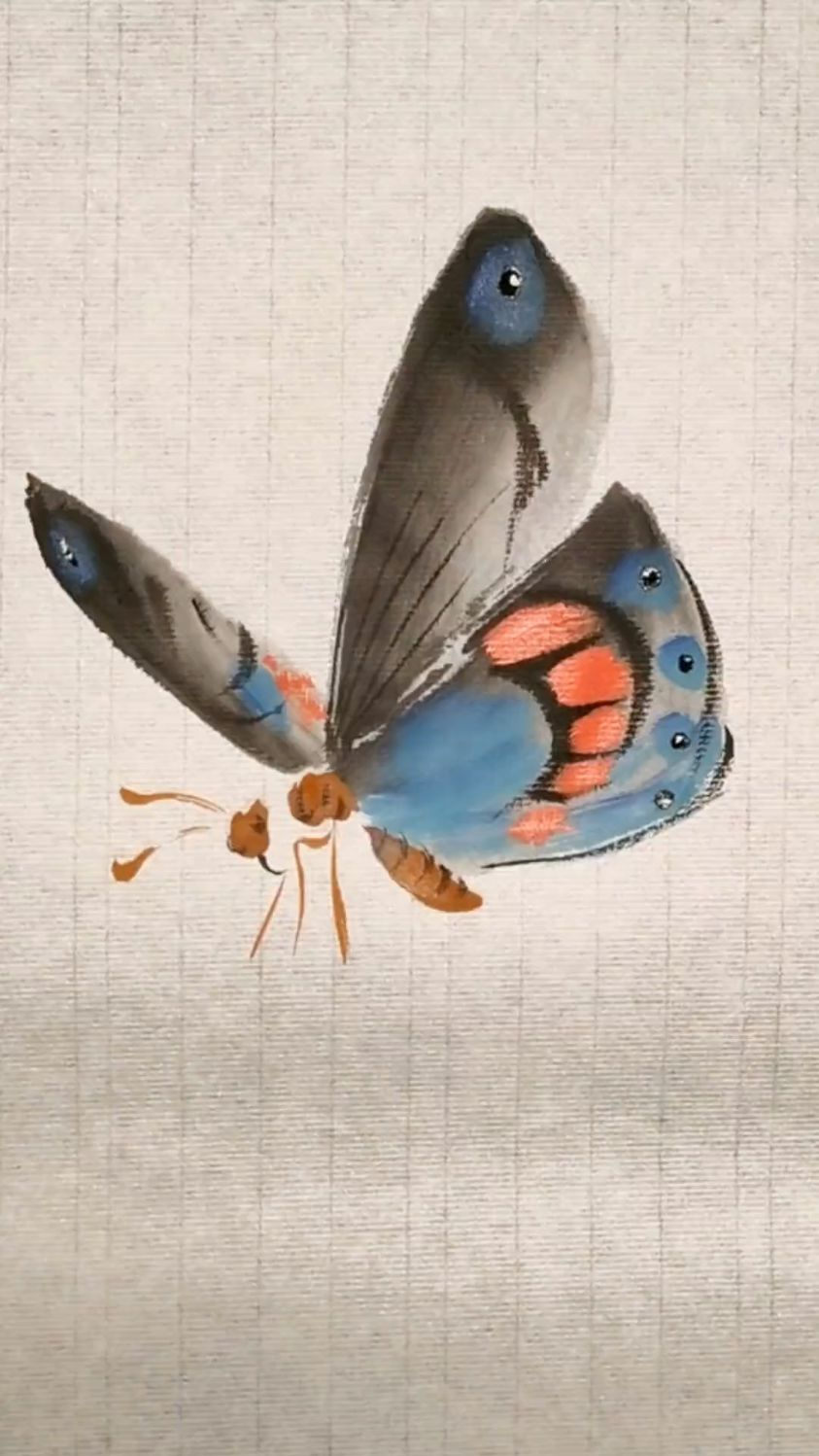 国画教学,小写意蝴蝶画法技巧分享