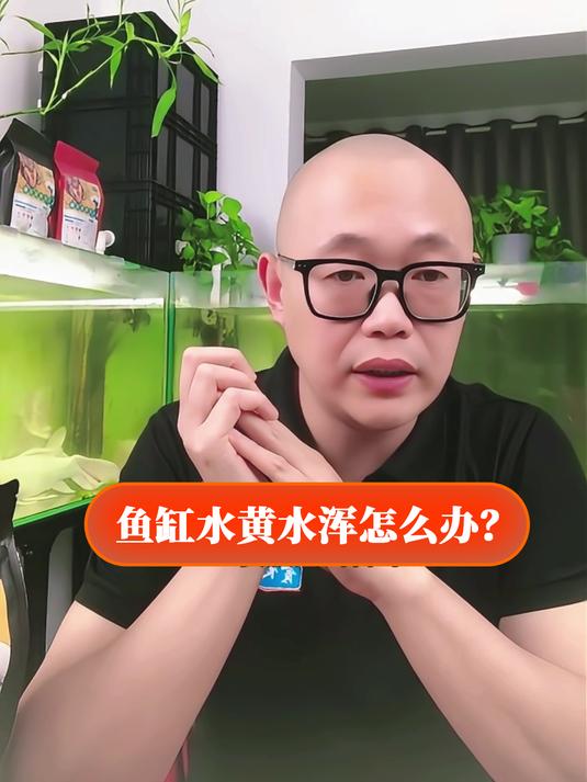 鱼缸水黄水浑怎么办?