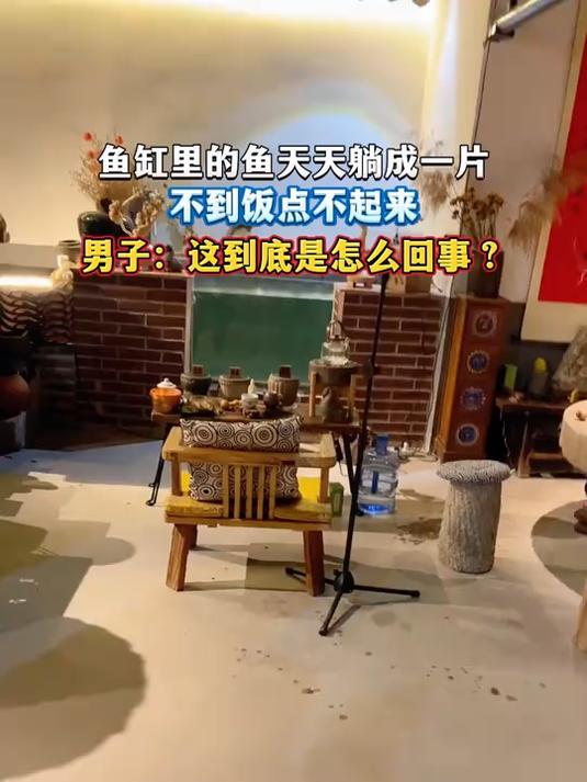 鱼缸里的鱼天天躺成一片,不到饭点不起来,男子:这到底是怎么回事?