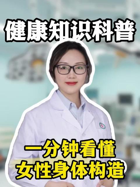 一分钟看懂女性身体构造#健康向阳计划#