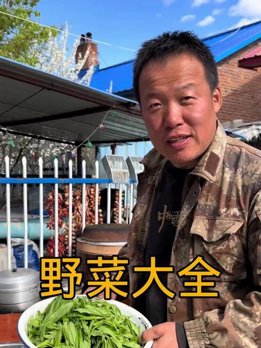 山野菜小满时节的山野菜安排一桌都是老爸爱吃的