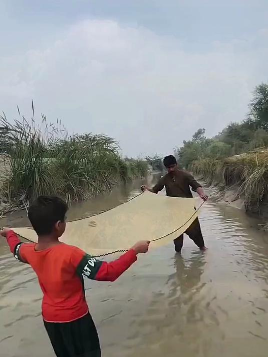 童年趣事和小伙伴捉鱼回忆，带你重温无忧时光