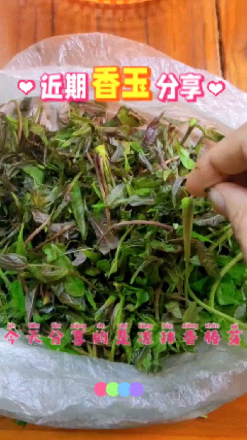 香椿芽的新吃法,这样凉拌的椿芽一盆米饭都不够吃