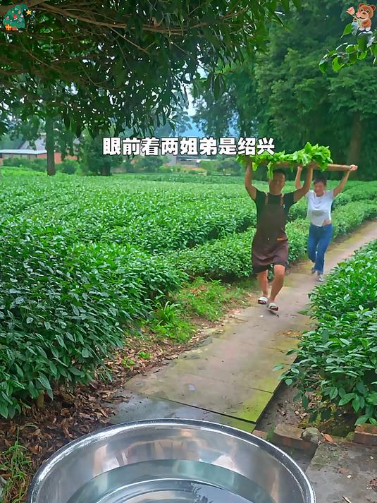 没有买过这个梅干菜的一定要试试