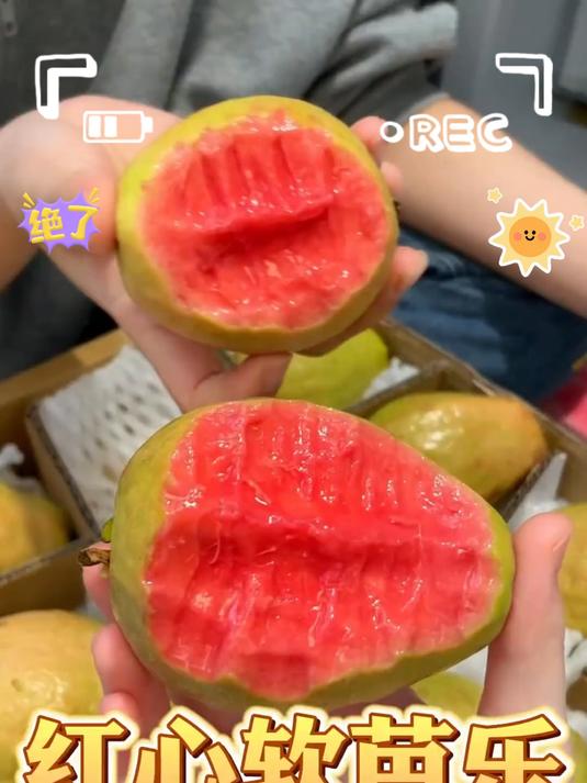 冰淇淋口感的芭乐可真是太好吃了！