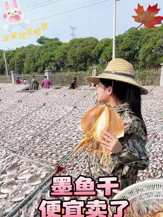 在我们南方沿海地区家里都有这种墨鱼干既能喝汤又能吃肉鲜味十足