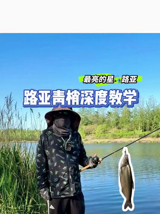 路亚青梢深度教学