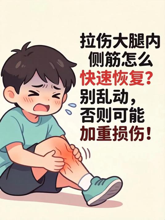 拉伤大腿内侧筋怎么快速恢复？别乱动，否则可能加重损伤！