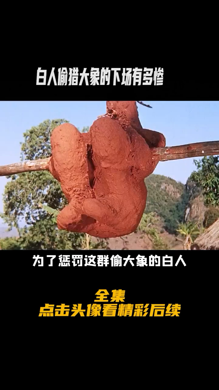 看白人偷大象的下场有多惨!